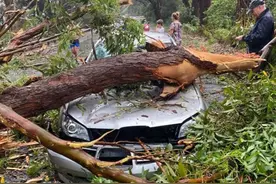 澳大利亚悉尼出现5分钟“迷你龙卷风”掀翻屋顶吹倒电线杆图片