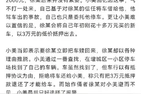 名为帮忙修车 实则将车抵押图片