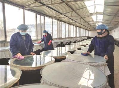 生料制醋工艺酿出好陈醋