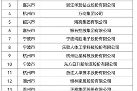 浙江民营跨国公司经营50强：境外营收5726亿，吉利居首图片