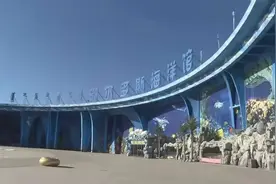 内蒙古第一只企鹅宝宝在鄂尔多斯破壳而出图片