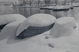 冬至｜忆济南的冬雪，还记得这些济南下雪的老照片吗图片