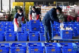 疫情来袭“菜篮子”拎得稳吗？——探访西安蔬菜供应基地图片