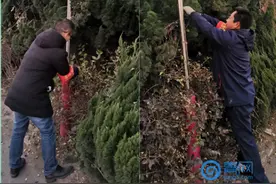 城阳巴士老司机带徒 身体力行从点滴小事做起图片