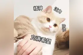 中考最容易写错的50个词！考前赶紧复习，值得收藏图片