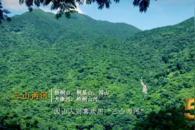 醉美山水在园山｜梧桐山北筑未来④图片