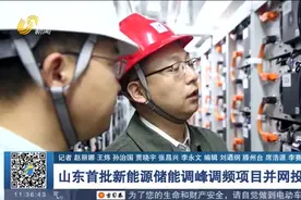 推动绿色低碳发展！山东首批新能源储能调峰、调频项目并网投产视频封面