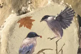 有趣又新奇，公园树洞钻出了“小动物”图片