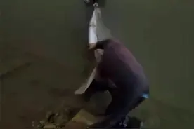 同一晚上，两名年轻男女分别跳入邕江欲轻生图片