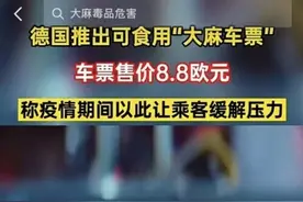 德国一公交公司推出的“大麻车票”能“嗨”吗？图片