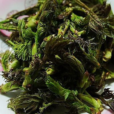 #一学就会快手菜#刺老芽炒培根肉