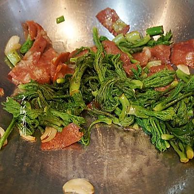 #一学就会快手菜#刺老芽炒培根肉