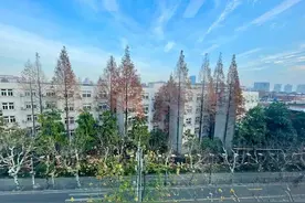 中学老师用这一席话，勉励每个努力奋斗的孩子图片