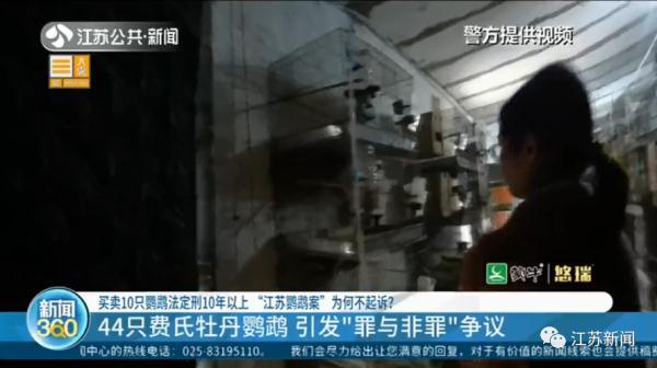 卖30只鹦鹉赚不到400元，法定刑10年以上？处理结果让她当场大哭