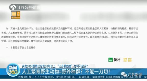 卖30只鹦鹉赚不到400元，法定刑10年以上？处理结果让她当场大哭