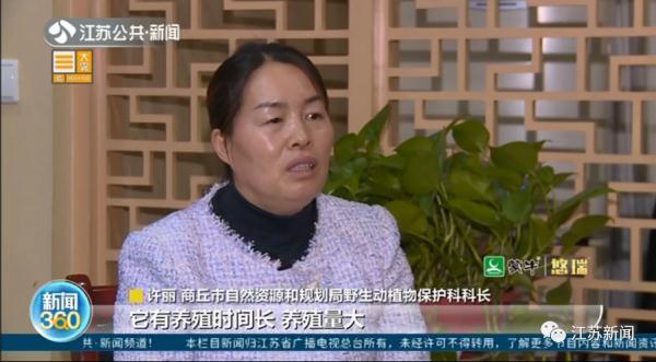 卖30只鹦鹉赚不到400元，法定刑10年以上？处理结果让她当场大哭