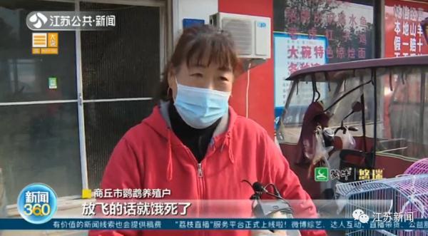 卖30只鹦鹉赚不到400元，法定刑10年以上？处理结果让她当场大哭