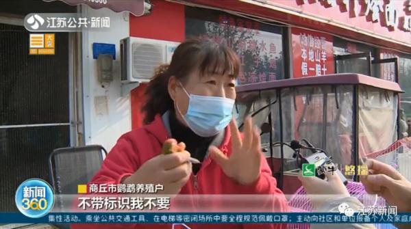 卖30只鹦鹉赚不到400元，法定刑10年以上？处理结果让她当场大哭