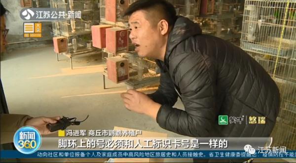 卖30只鹦鹉赚不到400元，法定刑10年以上？处理结果让她当场大哭