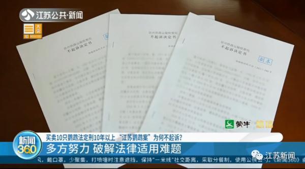 卖30只鹦鹉赚不到400元，法定刑10年以上？处理结果让她当场大哭