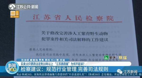 卖30只鹦鹉赚不到400元，法定刑10年以上？处理结果让她当场大哭