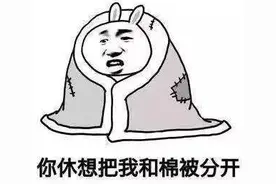 boss级寒潮来了！广东最低零下4℃！网友：下雪吗？图片