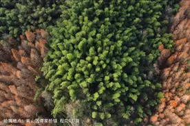 「早安，黄山」一天四场！凌云孙勇赴省对接图片