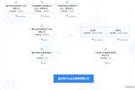 蓝光发展拟1元转让旗下三个项目给金科地产，遭上交所问询图片