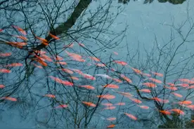 北大祝你：考的全会，答的全对！图片