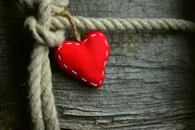 夜读丨“道歉”是一种能力图片