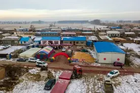 在法官见证下，姐姐带着弟弟走进婚礼殿堂图片