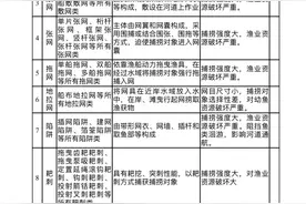 “涸泽而渔”、可视钓鱼……四川拟禁用这些渔具和捕捞方法图片