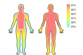 冬天总是手脚冰凉，是身体出问题了吗？图片