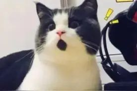 泡泡玛特被指官方售出的“隐藏款”盲盒系“非正品”，消费者售后遇真假罗生门丨消保委关注图片