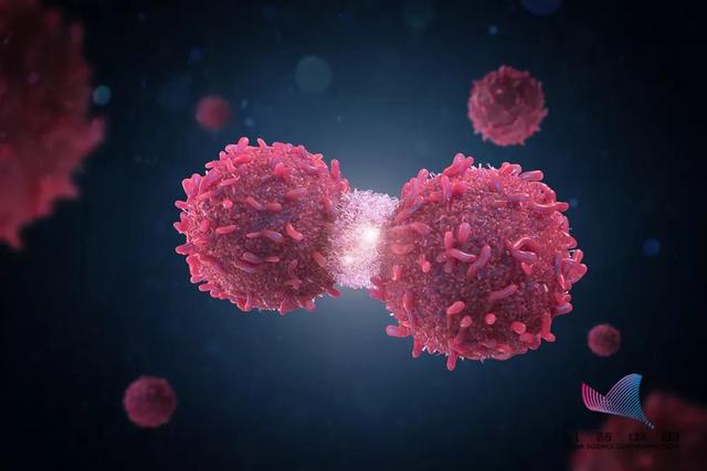 璀︽儠锛佽繖浜涢兘鏄叕璁ょ殑涓€绾ц嚧鐧岀墿锛佸緢闅惧療瑙夛紝浣犲鍙兘涔熸湁鈥︹€? onerror=