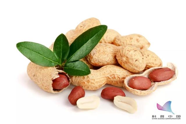 璀︽儠锛佽繖浜涢兘鏄叕璁ょ殑涓€绾ц嚧鐧岀墿锛佸緢闅惧療瑙夛紝浣犲鍙兘涔熸湁鈥︹€? onerror=