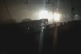 印度象群过铁道时被火车撞 两头大象被撞身亡图片