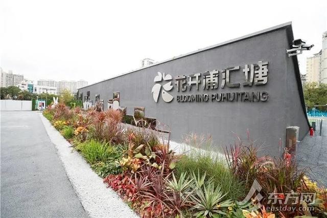 逆袭！徐汇这里“臭水浜”变成“小滨江”