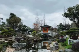 上海植物园明年1月1日起免大门票，438座城市公园仅剩13座收费图片