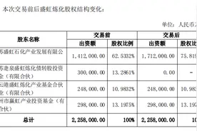 国资退出，600亿炼化项目成东方盛虹独角戏，资金还能撑住吗？图片
