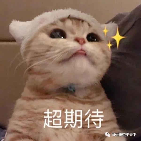 2021����������˵