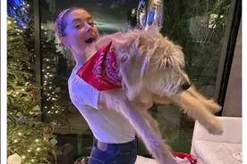 《海王》女主以澳大利亚副总理名字命名爱犬，后者讽：还记得我图片