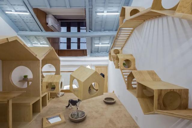 犬舍设计图(犬舍设计图 狗场)_牧林森宠物网