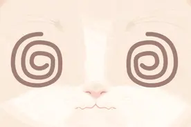 警惕！经常头晕千万别大意，或是这些疾病引起的……图片