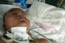 16岁男生校内训练摔跤，被搏击社队长使“断头台”招术摔伤致高位截瘫，警方立为刑案图片