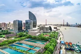 杨浦：从“一片旧”到“一片绿”的旧改民生实践图片