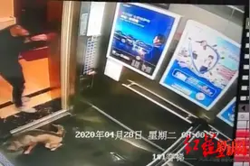“哈士奇被虐待后遭扔电梯”一审判决：虐狗者盗窃罪成立，拘役3个月并处罚金3000元图片