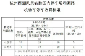 元旦三天，杭州西湖景区小型车停车费调整图片