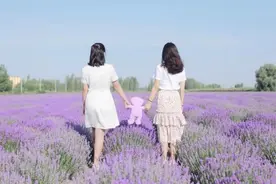 最好的关系：浓淡相宜，远近相安图片