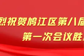 鸠江区第八届人民代表大会第一次会议公告图片